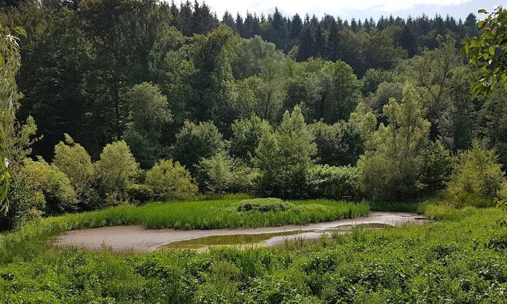 Gasthof Herren-Muehle